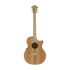 guitare-folk-cole-clark-modele-ccan2ec-rdso-_0001.jpg