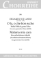 orlando-di-lasso-landsknechts-staendchen-echolied-_0001.JPG
