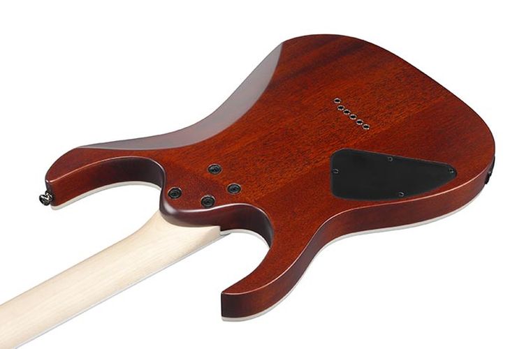 e-gitarre-ibanez-modell-rg421s-sem-sea-shore-matte_0003.jpg