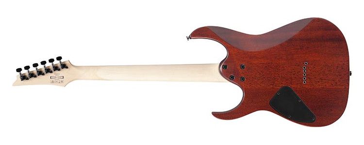 e-gitarre-ibanez-modell-rg421s-sem-sea-shore-matte_0005.jpg