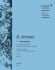 richard-strauss-don-quixote-op-35-trv-184-orch-_pa_0001.jpg