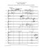 richard-strauss-don-quixote-op-35-trv-184-orch-_pa_0003.jpg