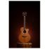 westerngitarre-lakewood-modell-a-30-edition-2023-n_0007.jpg