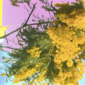 into-dust-still-falling-12-four-tet_-_xl-recording_0001.JPG