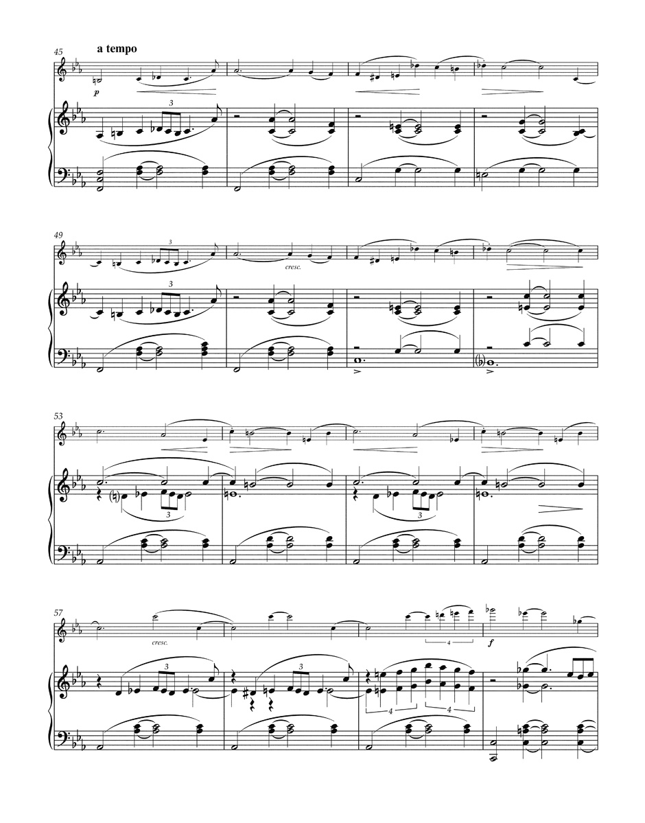 leos-janacek-werke-fuer-violine-und-klavier-vl-pno_0007.JPG