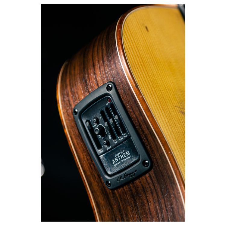 western-guitar-lakewood-model-d-31-edition-2023-_0006.jpg