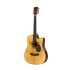 western-guitar-lakewood-model-d-31-edition-2023-_0001.jpg