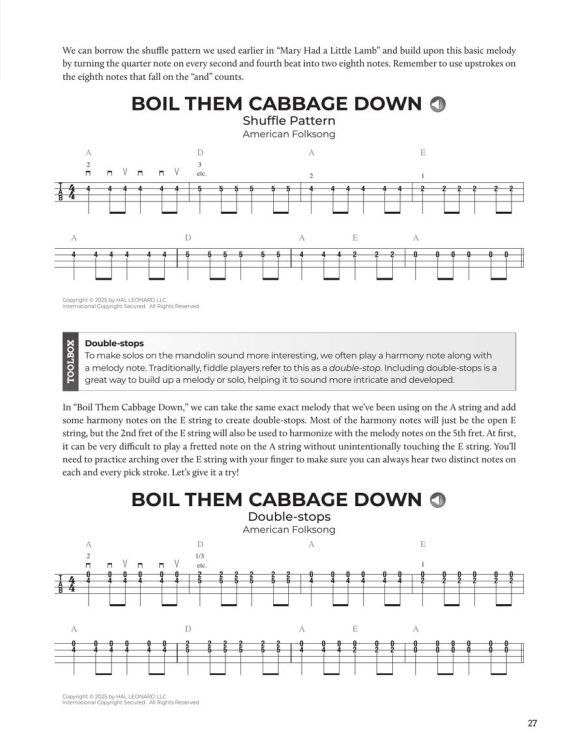 jeremy-chapman-do-it-yourself-mandolin-mand-_noten_0006.jpg