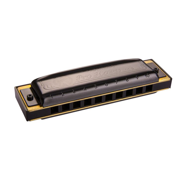 harmonica-hohner-pro-harp-fis-dur-black-_0001.jpg