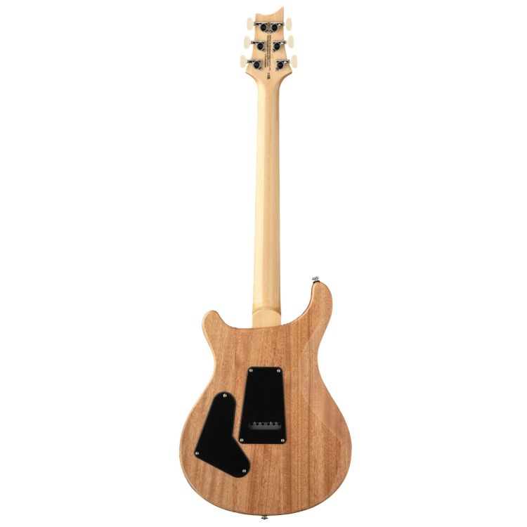 electric-guitar-paul-reed-smith-model-pauls-guitar_0002.jpg