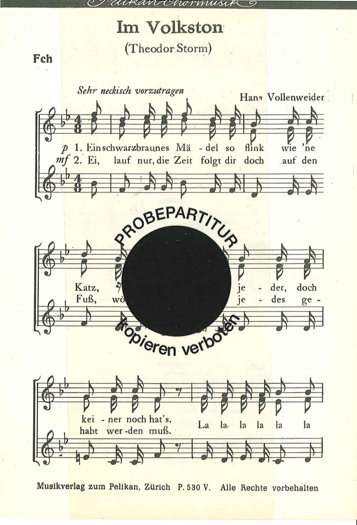 hans-vollenweider-im-volkston-fch-_0006.JPG