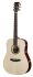 westerngitarre-lakewood-modell-d-53-premium-pu-fic_0001.jpg