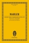 gustav-mahler-lieder-eines-fahrenden-gesellen-ges-_0001.JPG