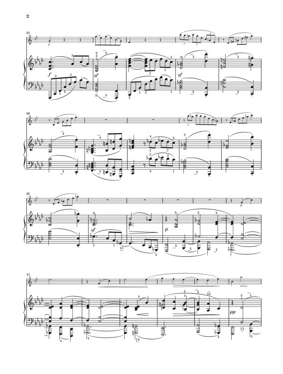 johannes-brahms-sonaten-op-120-12-clr-pno-_urtext__0007.jpg