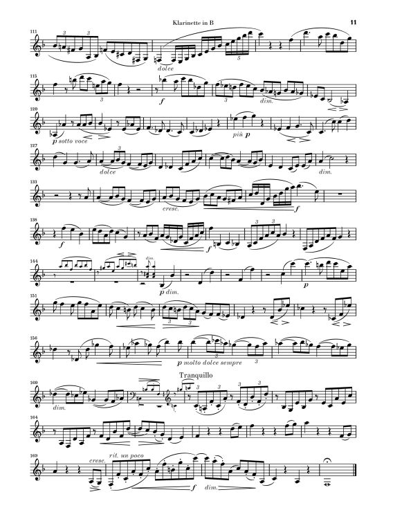 johannes-brahms-sonaten-op-120-12-clr-pno-_urtext__0014.jpg