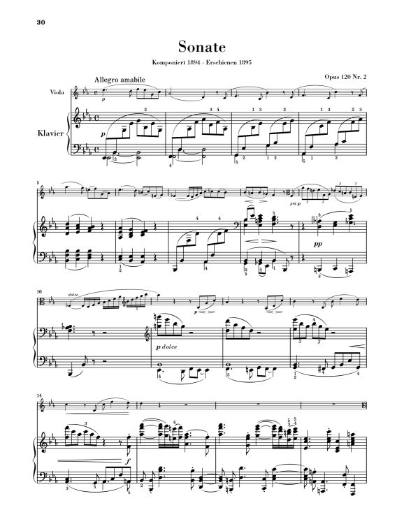 johannes-brahms-sonaten-op-120-12-va-pno-_revidier_0009.jpg