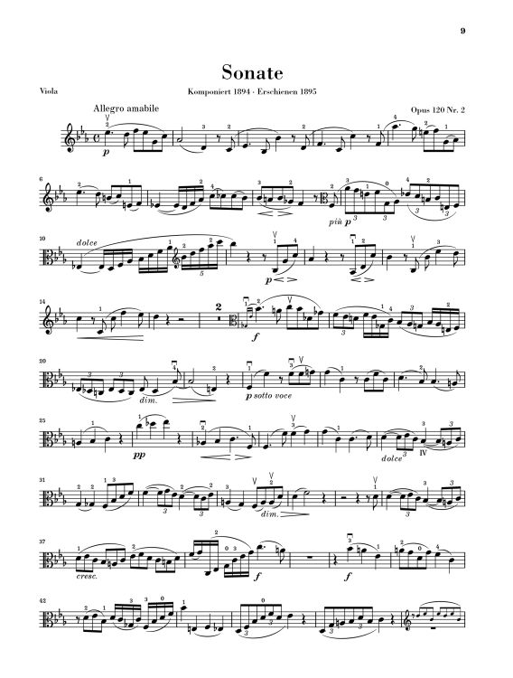 johannes-brahms-sonaten-op-120-12-va-pno-_revidier_0013.jpg