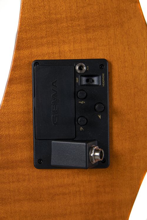 e-cello-gewa-modell-novita-3-0-goldbraun-_0003.jpg