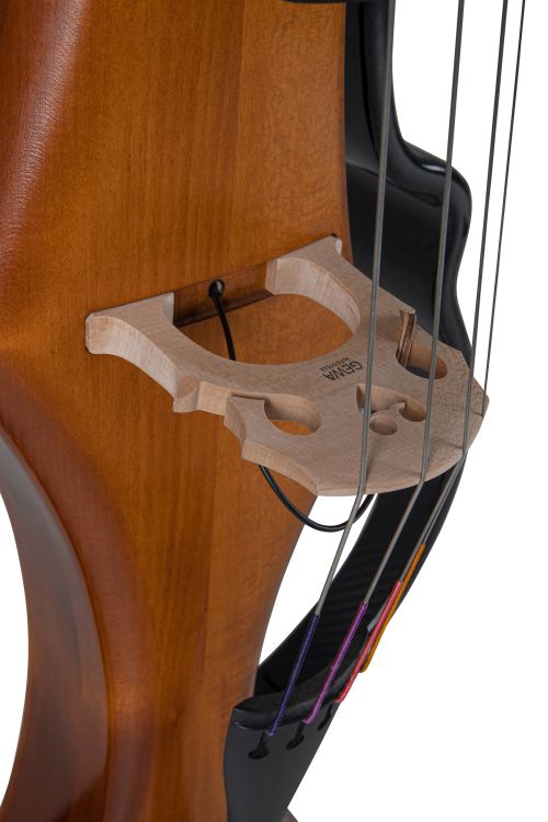 e-cello-gewa-modell-novita-3-0-goldbraun-_0004.jpg