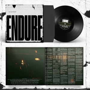 endure-special-interest-rough-trade-lp-analog-_0001.JPG