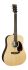 westerngitarre-martin-guitar-modell-d-x2e-billy-st_0001.jpg