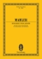 gustav-mahler-kindertotenlieder-ges-orch-_tp_-_0001.JPG