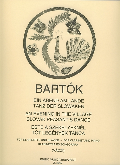 bela-bartok-abend-am-lande-clr-pno-_0001.JPG