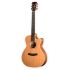 guitare-folk-lakewood-modele-m-14cp-_0001.jpg