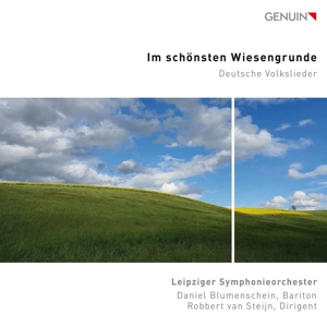 im-schoensten-wiesengrunde-deutsche-volkslieder-da_0001.JPG