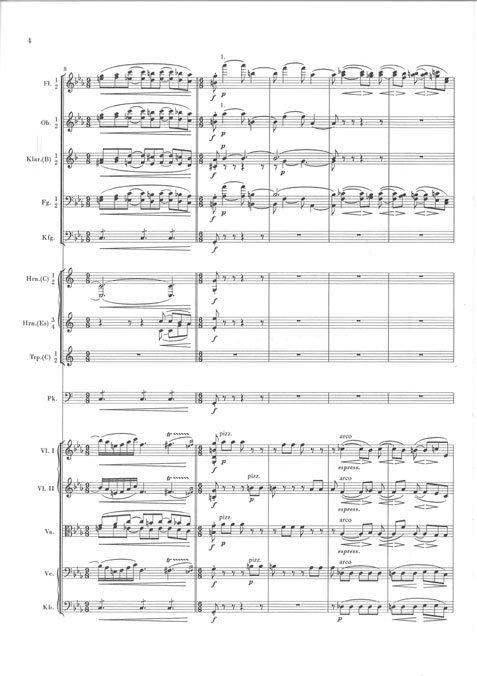 johannes-brahms-sinfonie-no-1-op-68-c-moll-orch-_s_0007.JPG