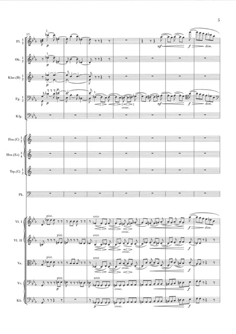 johannes-brahms-sinfonie-no-1-op-68-c-moll-orch-_s_0008.JPG