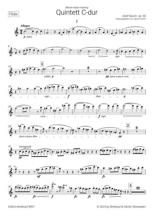 adolf-busch-quintett-op-68-c-major-fl-vl-2va-vc-_s_0002.jpg