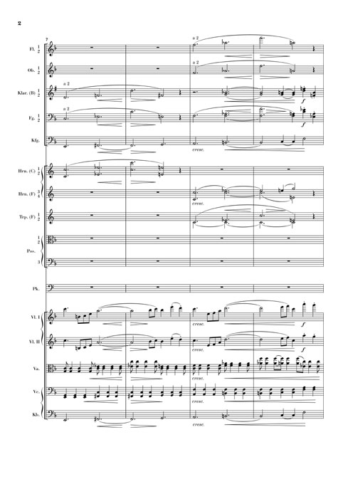 johannes-brahms-sinfonie-no-3-op-90-f-dur-orch-_st_0007.JPG