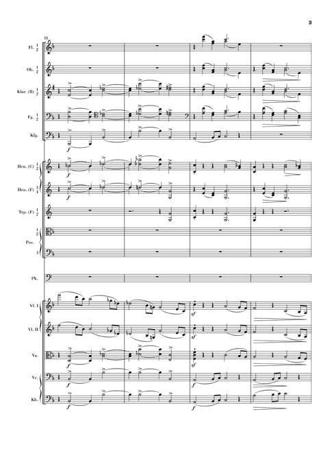 johannes-brahms-sinfonie-no-3-op-90-f-dur-orch-_st_0008.JPG