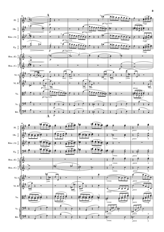 johannes-brahms-sinfonie-no-4-op-98-e-moll-orch-_s_0008.JPG