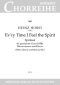 heinz-horst-evry-time-i-feel-de-spirit-gch-ins-_ch_0001.JPG