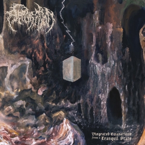 disgraced-emanations-from-a-tranquil-state-apparit_0001.JPG