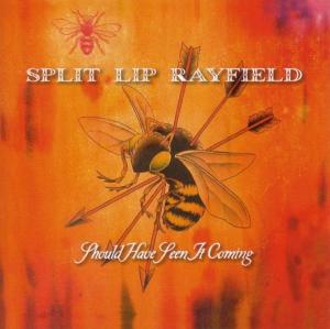 should-have-seen-it-comin-split-lip-rayfield-blood_0001.JPG
