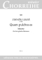zdenek-lukas-quam-pulchra-es-fch-_chp_-_0001.JPG