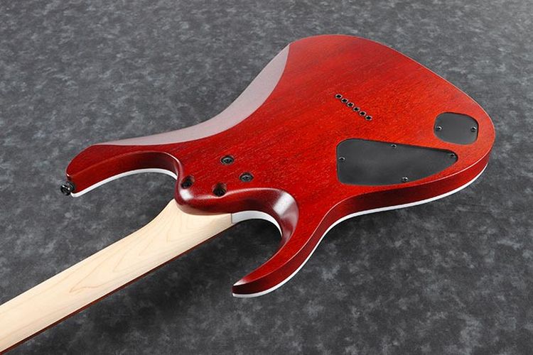 guitare-electrique-ibanez-modele-rga42fm-tgf-_0003.jpg