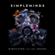 direction-of-the-heart-simple-minds-bmg-rights-man_0001.JPG
