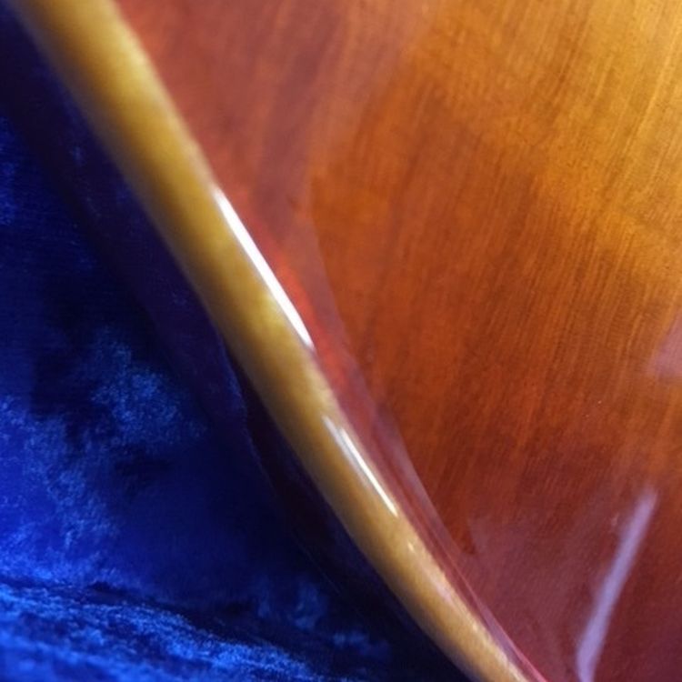 electric-guitar-vigier-model-g-v-wood-amber-_0005.jpg