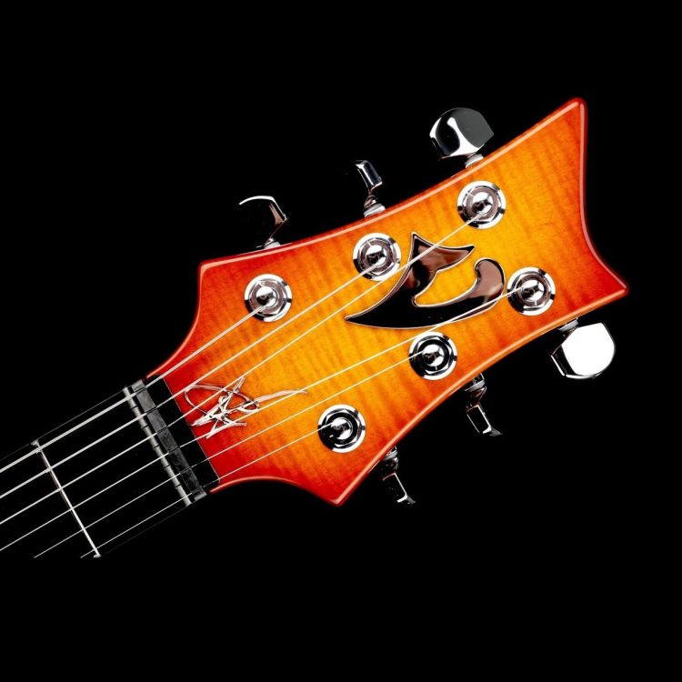 electric-guitar-vigier-model-g-v-wood-amber-_0008.jpg