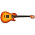 electric-guitar-vigier-model-g-v-wood-amber-_0003.jpg