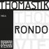 thomastik-ro22-d-saite-accessoires-pour-alto_0001.jpg
