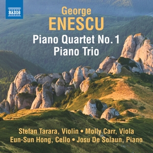 piano-quartet-no-1-piano-trio-stefan-tarara-violin_0001.JPG