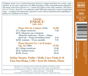 piano-quartet-no-1-piano-trio-stefan-tarara-violin_0002.JPG