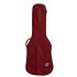 ritter-carouge-electric-guitar-spicy-red-zubehoer-_0001.jpg