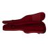 ritter-carouge-electric-guitar-spicy-red-zubehoer-_0005.jpg