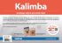 kalimba-schnell-und-einfach-lernen-kalimba-_notend_0002.jpg
